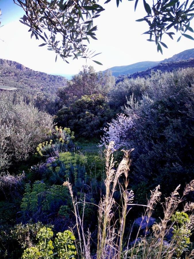 Casablu Βίλα Stavrokhorion Εξωτερικό φωτογραφία